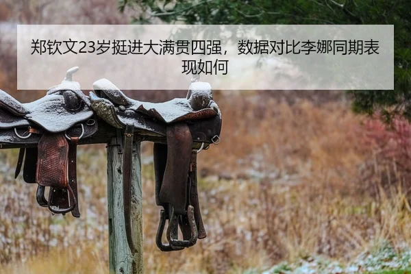 郑钦文23岁挺进大满贯四强，数据对比李娜同期表现如何