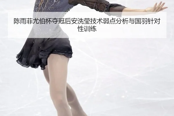 chen-yu-fei-you-bo-bei-duo-guan-hou-an-xi-ying-ji-shu-ruo-dian-fen-xi-yu-guo-yu-zhen-dui-xing-xun-lian-2-392.jpg